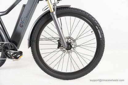 F2629_12_tire
