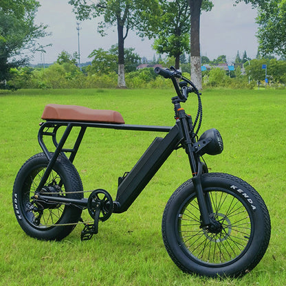 Bicicleta de montaña para adultos 20FG, bicicleta eléctrica de 20 pulgadas y 500W, batería de litio de 48V y 15Ah, horquilla delantera con suspensión neumática, velocidad de hasta 45 km/h